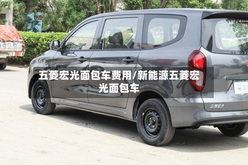 五菱宏光面包车费用/新能源五菱宏光面包车
