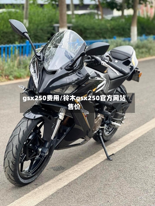 gsx250费用/铃木gsx250官方网站售价-第3张图片