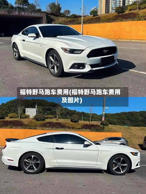 福特野马跑车费用(福特野马跑车费用及图片)