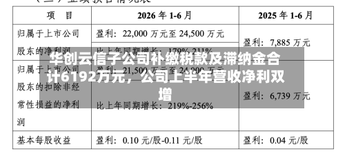 华创云信子公司补缴税款及滞纳金合计6192万元，公司上半年营收净利双增-第2张图片