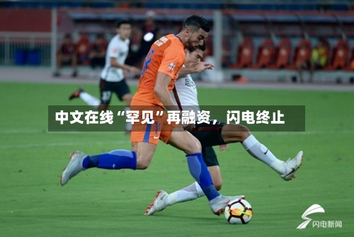 中文在线“罕见”再融资	，闪电终止-第3张图片