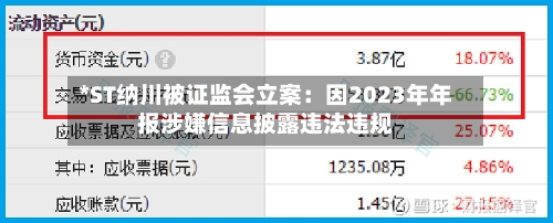 *ST纳川被证监会立案：因2023年年报涉嫌信息披露违法违规-第3张图片