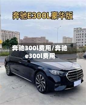 奔驰300l费用/奔驰e300l费用