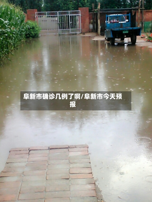 阜新市确诊几例了啊/阜新市今天预报