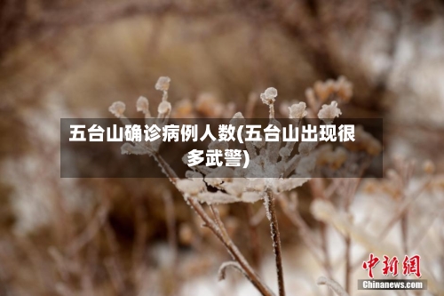 五台山确诊病例人数(五台山出现很多武警)