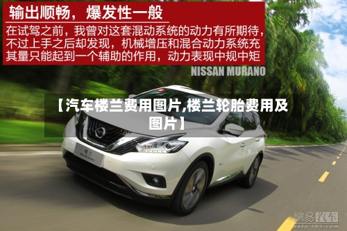 【汽车楼兰费用图片,楼兰轮胎费用及图片】