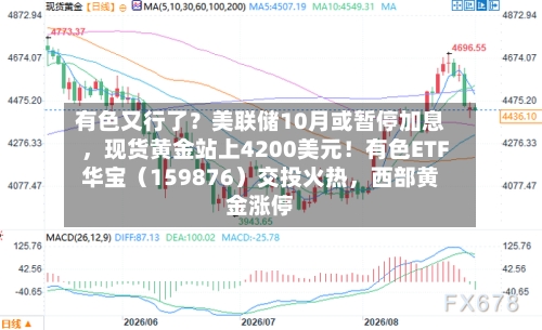 有色又行了？美联储10月或暂停加息，现货黄金站上4200美元！有色ETF华宝（159876）交投火热，西部黄金涨停