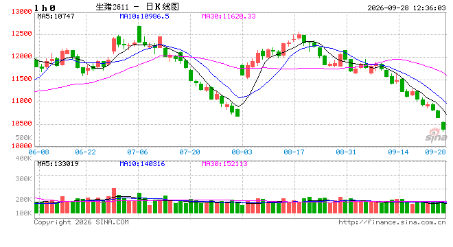 假期集团散户同步出栏 生猪价格承压偏弱运行