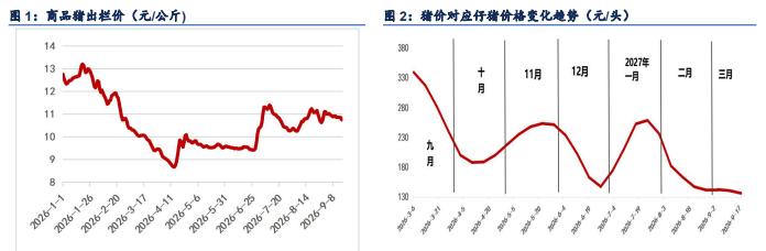 假期集团散户同步出栏 生猪价格承压偏弱运行